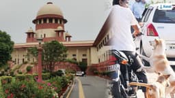 நாய்க்கடி விவகாரத்தைப் முன்னெடுத்த உச்சநீதிமன்றம்