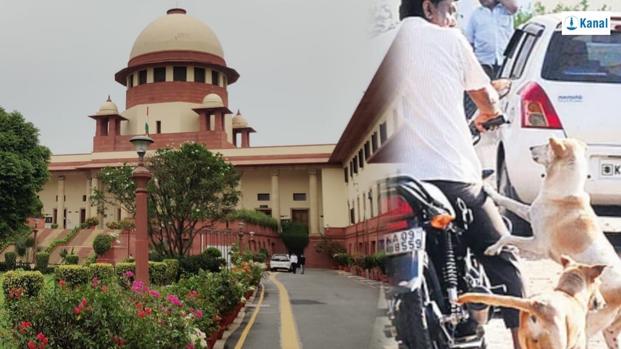 நாய்க்கடி விவகாரத்தைப் முன்னெடுத்த உச்சநீதிமன்றம்