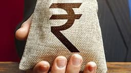 Indian public sector banks to raise ₹45,000 crore via QIP in FY26: source